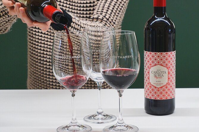 Wine tasting tour - The Winery Stops: Pago de Tharsys and Sierra Norte