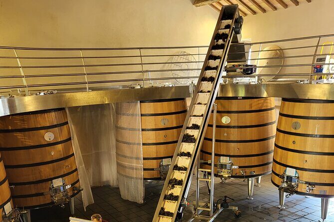 Wine Tasting Tour at Châteauneuf du Pape - The Sum Up: Is This Tour Right for You?