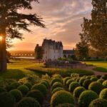 Wine tasting tour in Loire Valley with castle visits and lunch - A Deep Dive into the Loire Valley Tour Experience