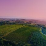 Wine Tasting & Tour Premium - What We Love & Consider