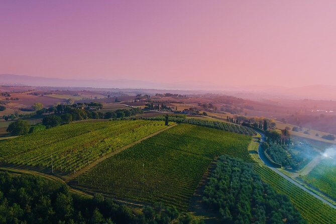 Wine Tasting & Tour Premium - What We Love & Consider