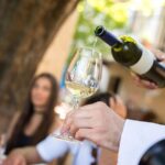 Wine Tasting & Winery Tours - A Deep Dive into the Experience