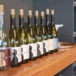 Wine Tasting with Pairing Snacks in Vipava Valley - Authentic Experiences Highlighted by Reviewers