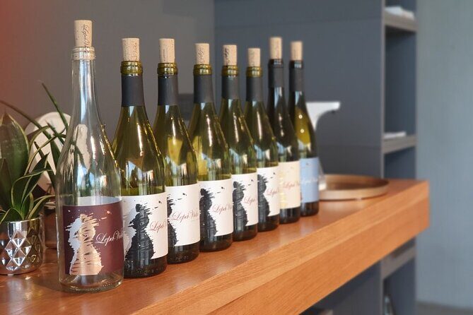 Wine Tasting with Pairing Snacks in Vipava Valley - Authentic Experiences Highlighted by Reviewers