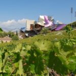 Wine Tour: 2 Wineries From Logroño - Why We Think This Tour Works Well