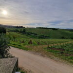 Wine Tour 6 hours 2 top wineries of Chianti Classico Limo Service - What’s Included and What’s Not