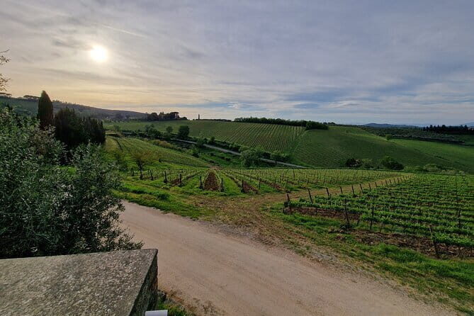 Wine Tour 6 hours 2 top wineries of Chianti Classico Limo Service - What’s Included and What’s Not