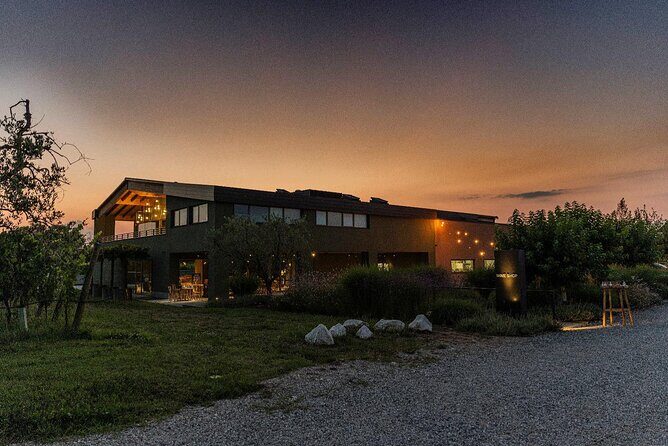 Wine Tour and Tasting of Lugana Wines in Desenzano - Authenticity and Local Connection