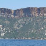 Wine Tour Bandol & Cassis from Marseille - Practical Details and What They Mean for You