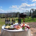 Wine Tour Experience at Agricola Tamburini - Additional Considerations