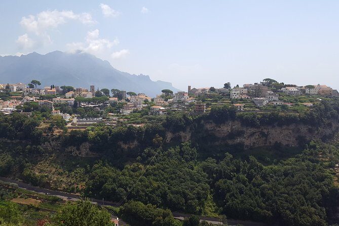 Wine Tour Experience for Family or friend's group - Why this Tour Offers Great Value