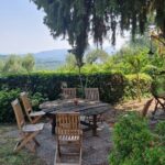 Wine Tour in the Countryside of Lucca with Lunch - with Minivan - Final Thoughts