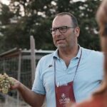 Wine Tour in the historic Baglio Florio Adamo with Lunch - Analyzing the Value