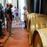 Wine Tour with Lunch and Wine Tasting - Who Will Love This Tour?