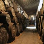 Wine Tourism Half Day Tour - What’s Included and What You Should Know