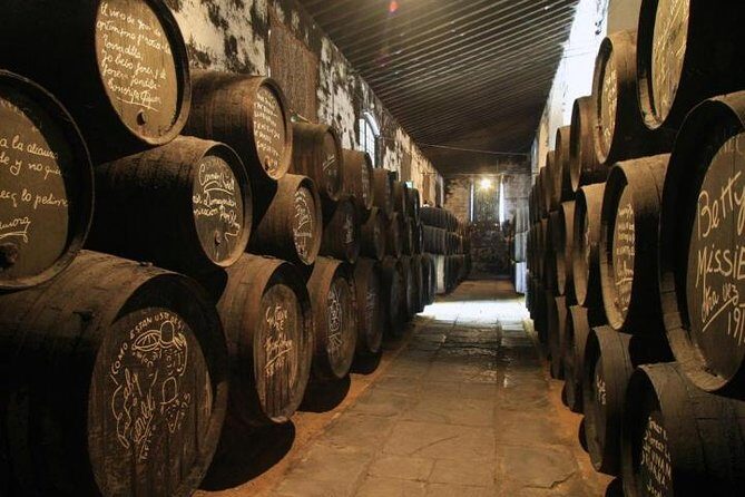 Wine Tourism Half Day Tour - What’s Included and What You Should Know