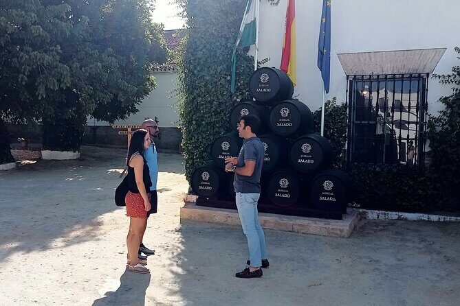 Wine tourism, visit to a traditional winery and wine tasting - Key Points