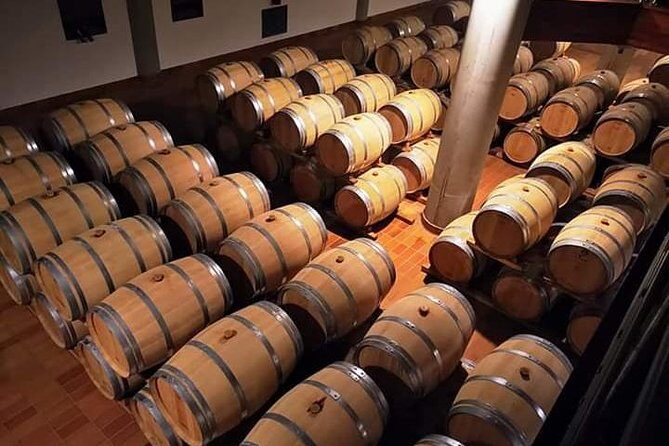 Winery tasting in Marsala and Mothia lagoon tour - Authentic Experiences and Authentic Guides