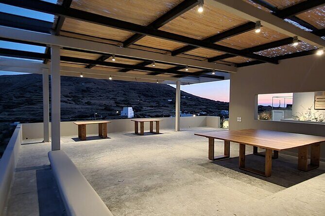 Winery Tour and Tasting in Tinos with the Winemaker - Who Will Love This Tour?