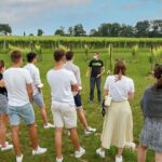 Winery Tour and Tasting of Garda Wines in Lazise - Why this Tour is Worth Your Time