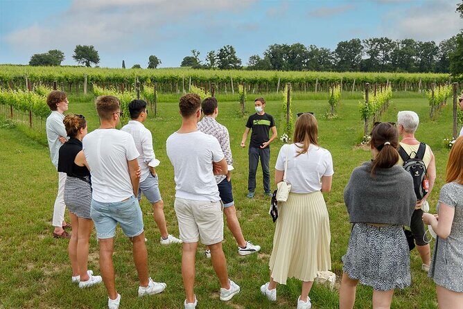 Winery Tour and Tasting of Garda Wines in Lazise - Why this Tour is Worth Your Time