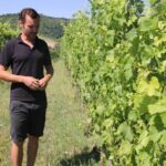 Winery tour and wine, cheese & charcuterie tasting - What to Expect from Your Visit