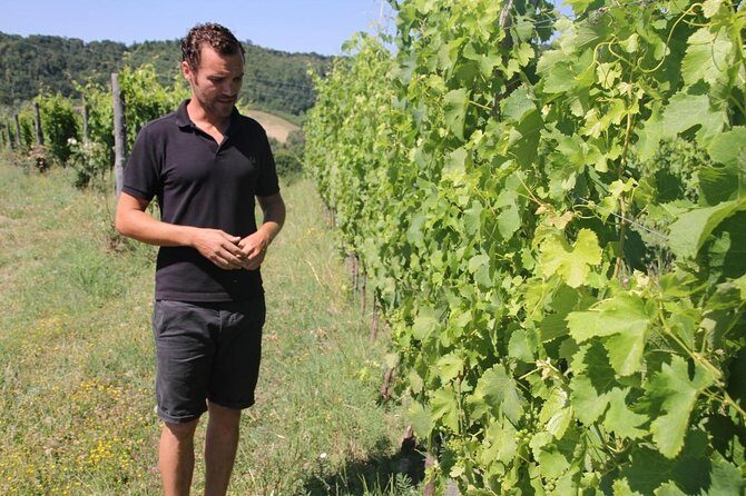 Winery tour and wine, cheese & charcuterie tasting - What to Expect from Your Visit