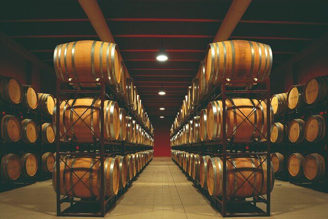 Winery Tour and Wine Tasting in Montepulciano d'Abruzzo - Analyzing the Value