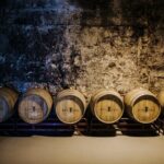Winery Tour in Menorca with Wine Tasting - A Closer Look at the Winery Tour Experience