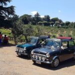 Winery Tour in Mini Cooper Classic Cabrio wine testing and lunch - Analyzing the Value