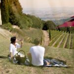 Winery Tour & picnic in the vineyard with a bottle of wine - Frequently Asked Questions