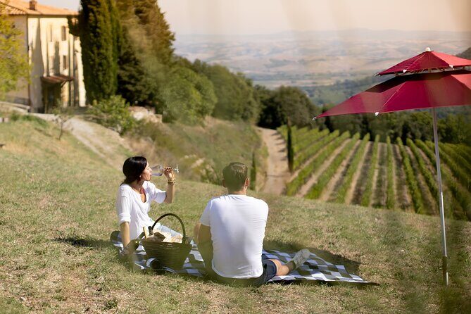 Winery Tour & picnic in the vineyard with a bottle of wine - Frequently Asked Questions