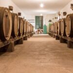 Winery Tour, Wine Museum, and Tasting in Gran Canaria - A Closer Look at the Itinerary