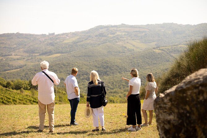 Winery tour & wine tasting in Montalcino - Who Will Love This Tour?
