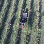 Winery tour with wine tasting from Assisi - A Deep Dive into the Assisi Wine Tour