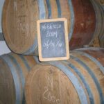 Winery Visit and Tasting of 2 D.O.C.Wines Fontechiara - Practical Details and Value
