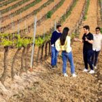 Winery Visit & Setubal Fish Market Tour with Tasting from Lisbon - The Value and Practicalities