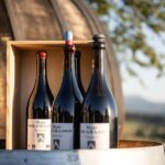 Winery visit / tasting in the vineyards, Mas des Escarades - The Wines and the Value