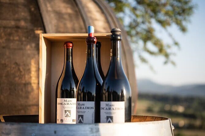 Winery visit / tasting in the vineyards, Mas des Escarades - The Wines and the Value