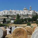 WINES Tastings and Countryside! from Bari - The Real Deal: Authenticity and Value