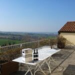 Winetour and tasting on Bologna hills, guided by the wine grower - Highlights from Visitor Feedback