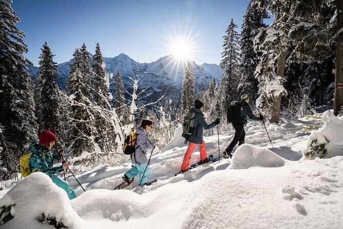 Winter Alpine Adventure - The Itinerary in Detail: What to Expect