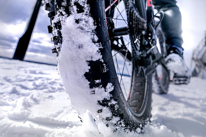Winter Fatbiking in Ivalo (2 hours) - The Review: Authenticity and Value