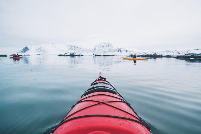 Winter Half Day Kayak Tour - Why This Tour Offers Great Value