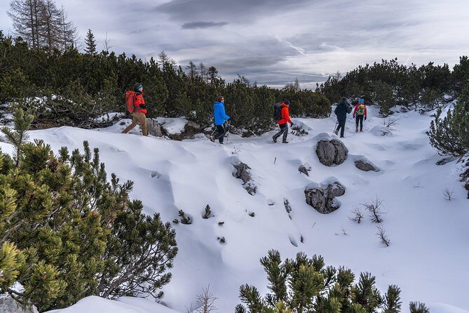 Winter Hike in Julian Alps - What’s Included and What’s Not
