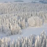 Winter Quad Bike Ride in the Arctic Circle from Rovaniemi - Detailed Breakdown of the Itinerary