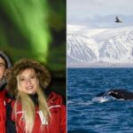 Winter Whale Watching & Northern Lights Cruise | Combo from Reykjavik - Who Should Consider This Tour?