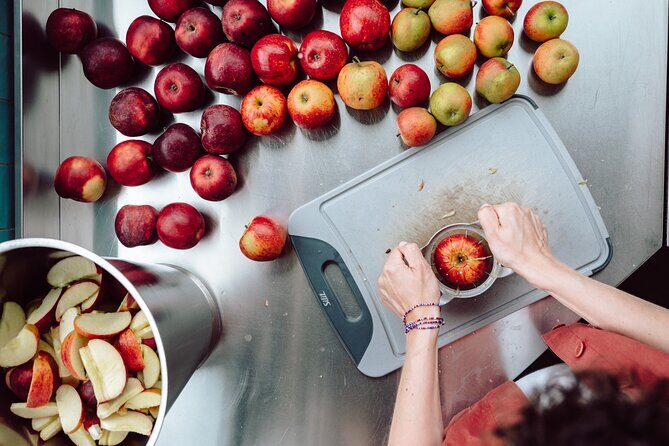 Wittenburg: Elephant Gin's Distillery Tour near Hamburg - What the Tour Entails