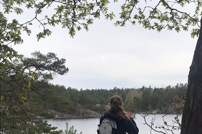 Wolf and Wildlife Tracking in Sweden - The Magic of the Howling Session