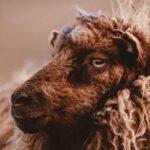 Wonders of Vágar Island | Private Experience - Final thoughts